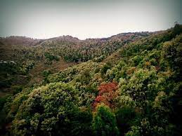 Badidhar Hill Landscape