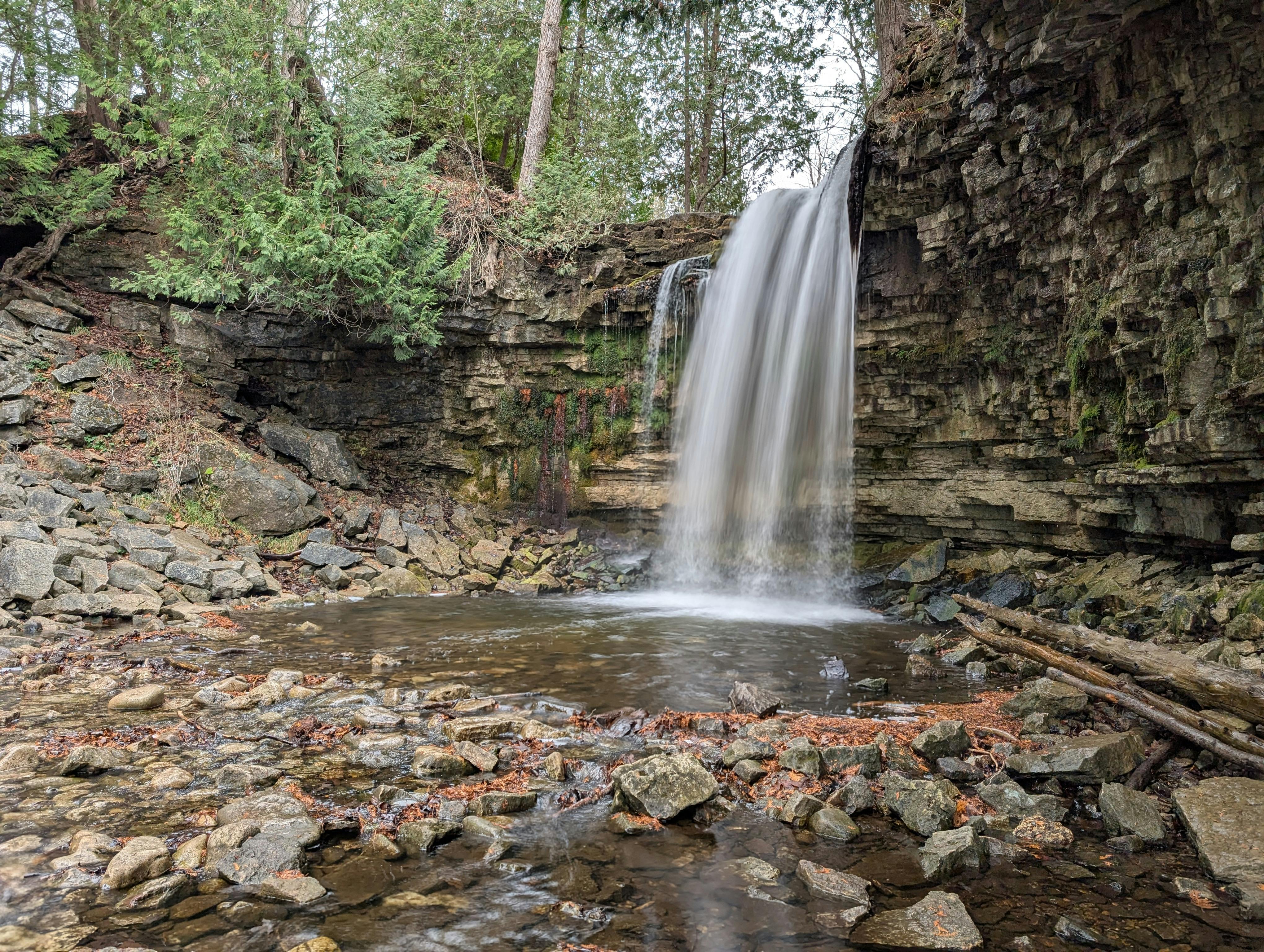 Surrounding Nature